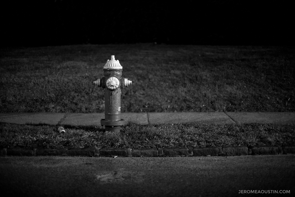 Fire Hydrant ⋅ Fleetwood, NY ⋅ 2010
